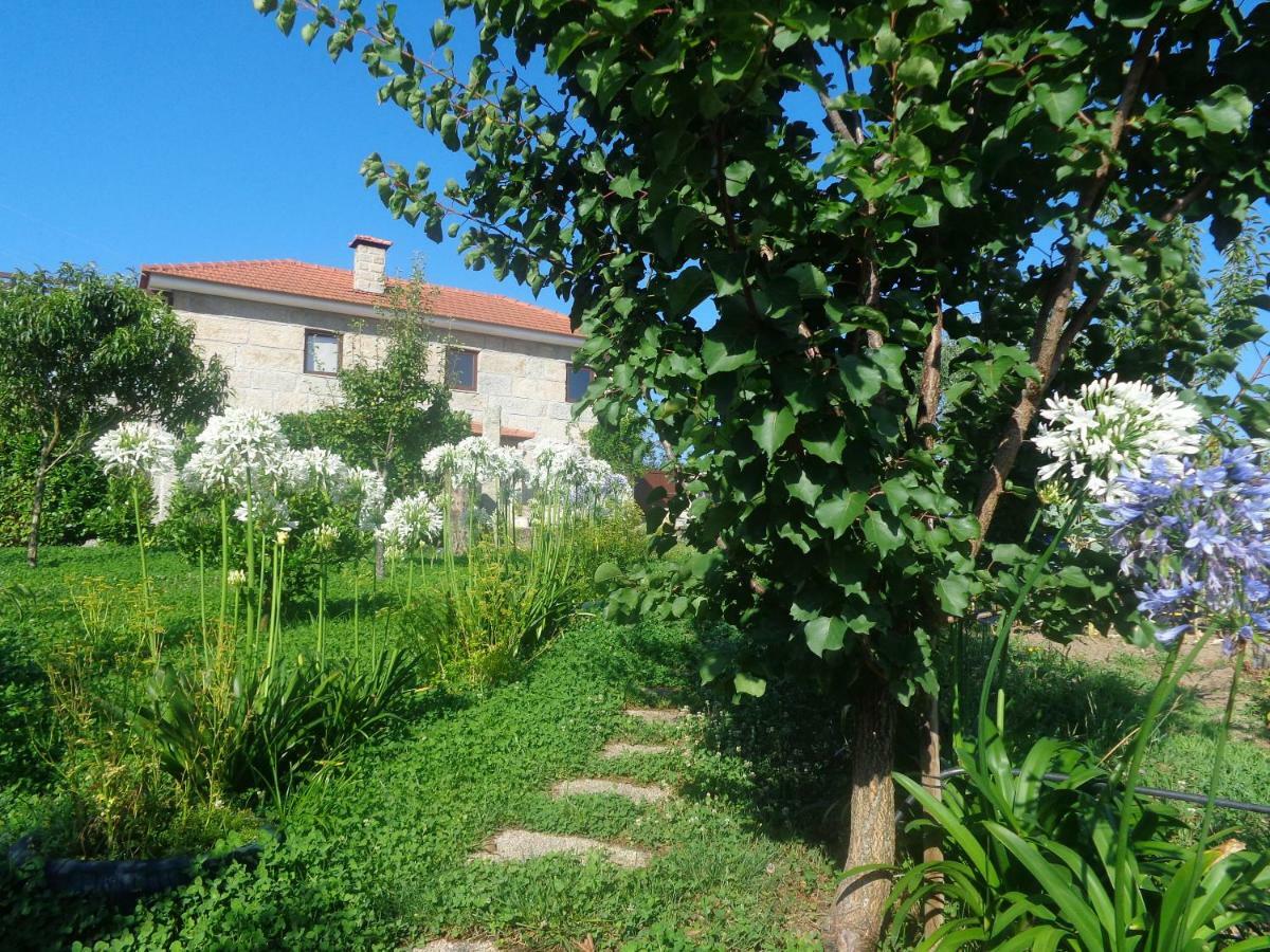 Bernardes House Pensionat Castelo de Paiva Eksteriør billede