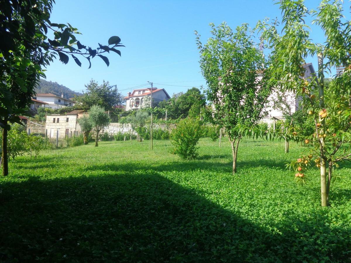 Bernardes House Pensionat Castelo de Paiva Eksteriør billede